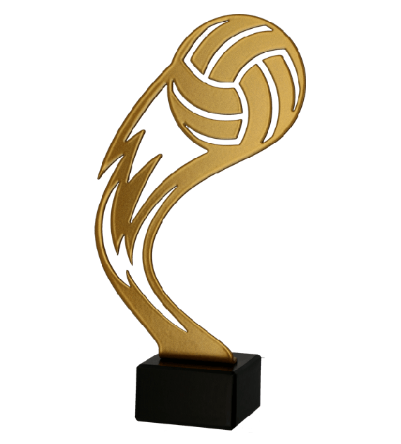 Zlatá kovová trofej | Volejbal