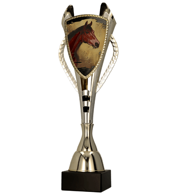Plastová trofej | Jezdectví Výška: 40,5 cm