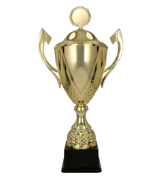 Kovový pohár s poklicí | Zlatý Výška: 27 cm, Průměr: 10 cm