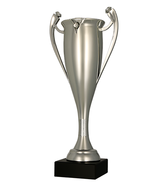Plastový pohár | Stříbrný Výška: 29 cm, Průměr: 7,5 cm