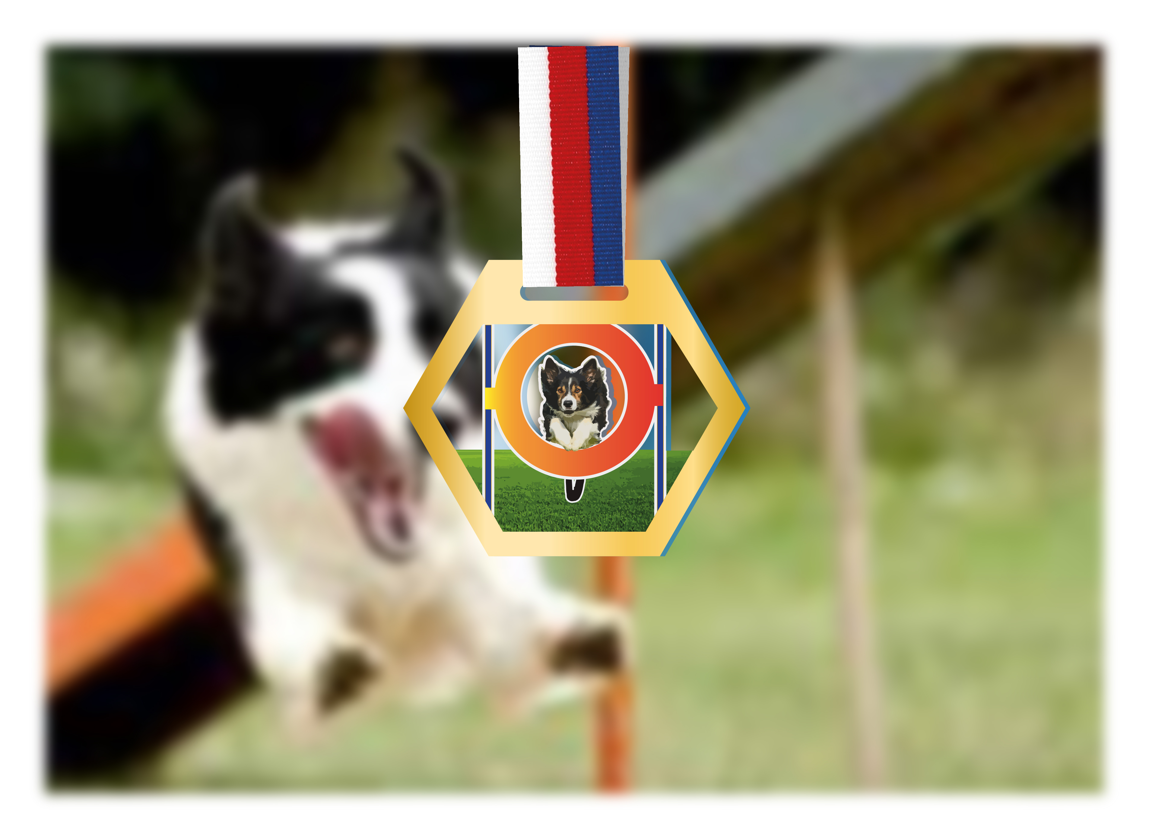 Akrylátová medaile | Agility Barva: Střírná
