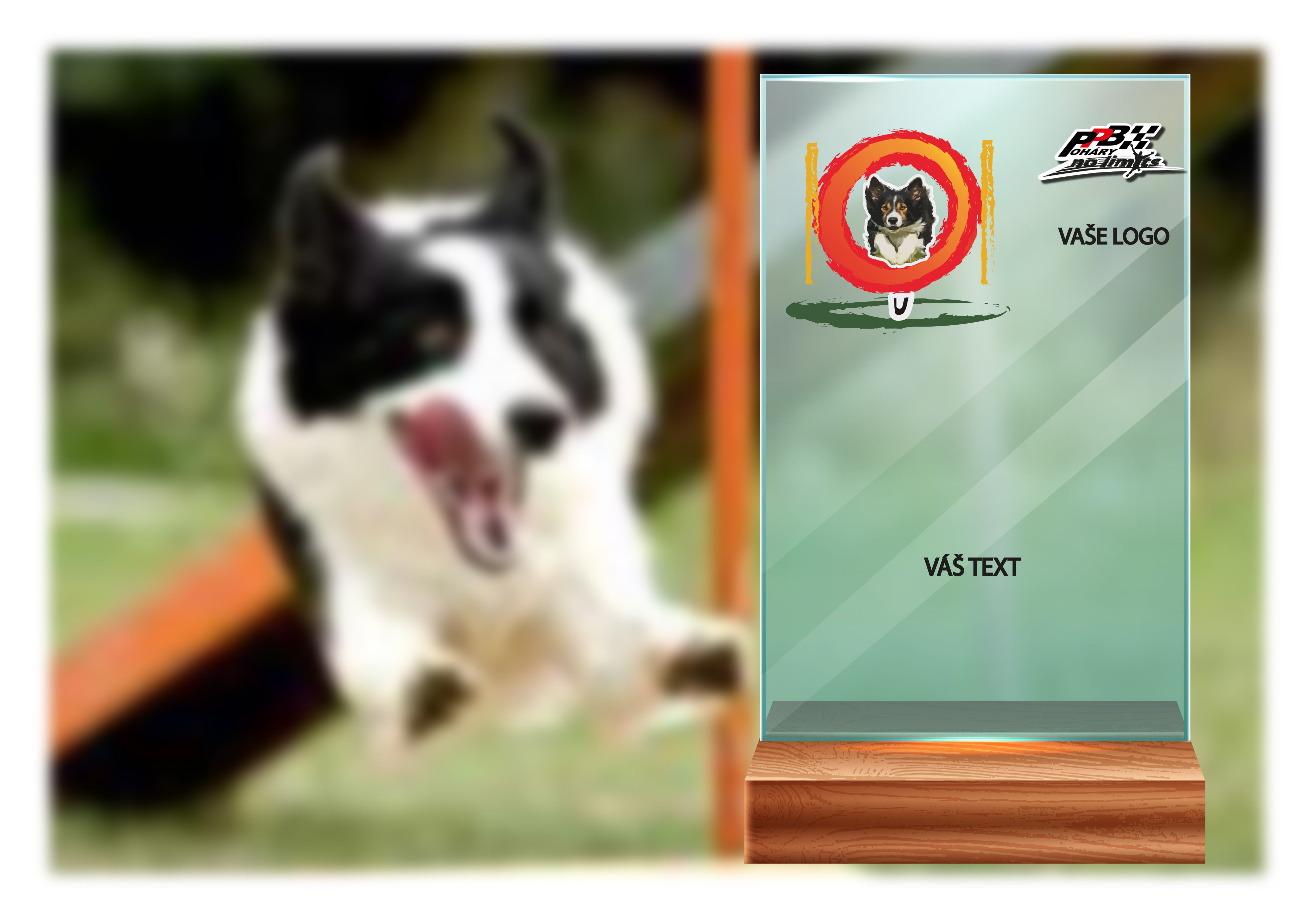 Skleněná trofej na dřevěném podstavci | Agility Výška: 15 cm