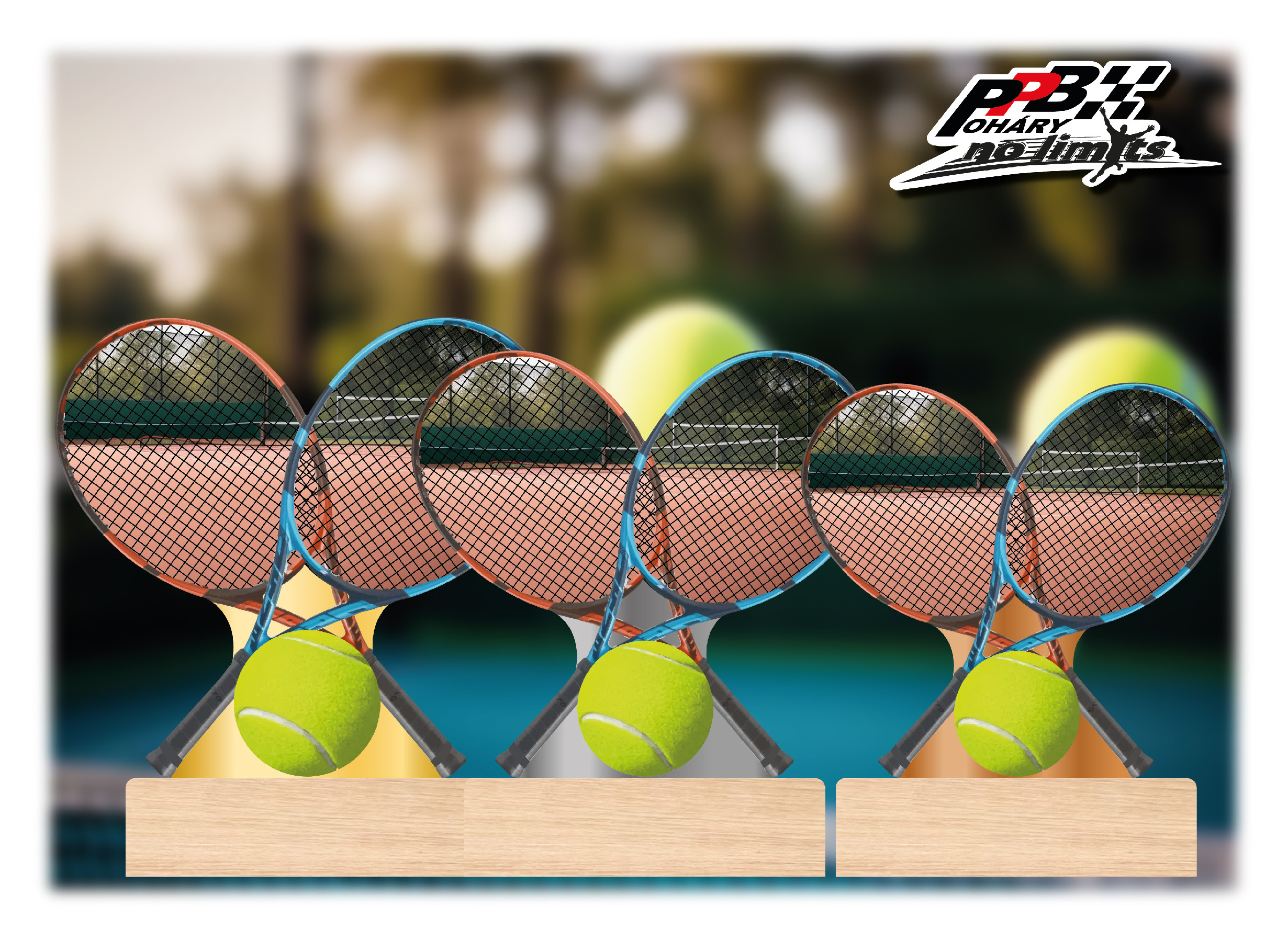 Akrylátová plaketa na dřevěném podstavci | Tenis Barva: Bronzová, Výška: 15 cm