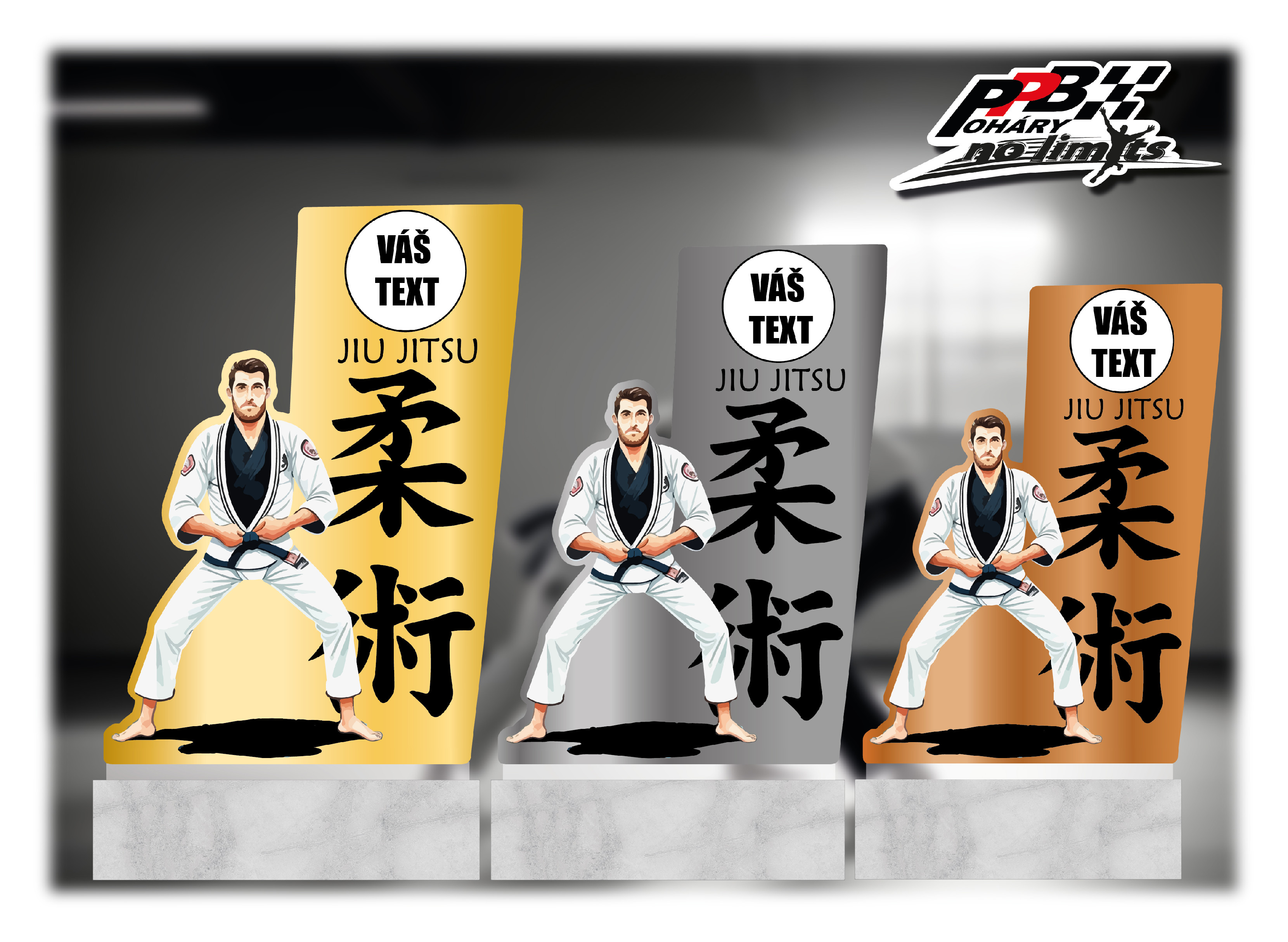 Akrylátová plaketa na mramorovém podstavci | Jiu Jitsu Barva: Bronzová, Výška: 15 cm