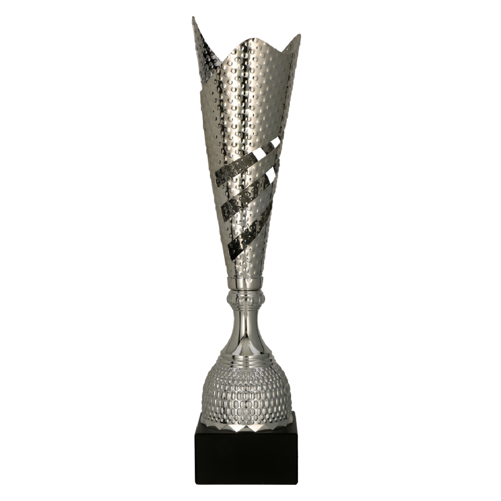 Kovová trofej | Stříbrná Výška: 40,5 cm