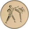 Zlatý emblém | Karate