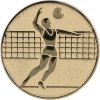 Zlatý emblém | Volejbal mužů