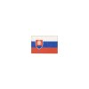 slovak flag brooch