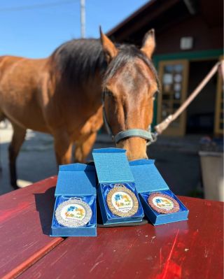 Každá medaile má svůj příběh 🥇✨ A tyhle vznikly pro partu lidí, kteří si užili skvělý tréninkový víkend v Rajnochovicích...