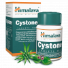 Himalaya Herbals Cystone 100 tablet ovlivňuje ledviny a močové cesty