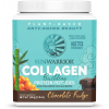 Sunwarrior Collagen Building Protein Peptides, Vegan, Čokoládový fondán, 500 g