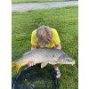 Boilies s bílým jílem pro kapry PPK - Carp Krill 24 mm.