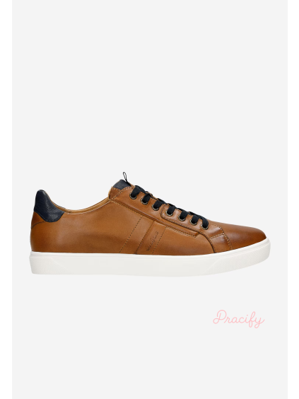 Pánské polobotky Wojas: elegance & pohodlí