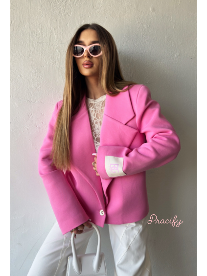 Snímek obrazovky 2026 04 08 094450