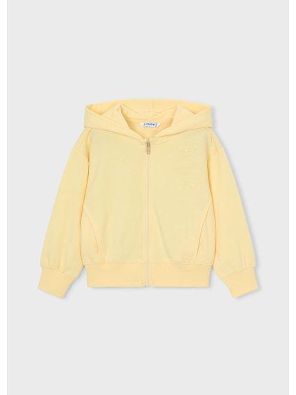 2a44afef01c6a5d560053c572ad4b524