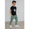 dnmrdb29