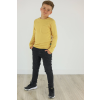 61xbswga