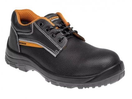 basic S1Low