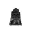 condor low2