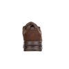 condor brown3
