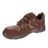 condor brown4