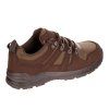 condor brown6