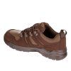 condor brown7