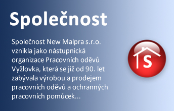 Společnost