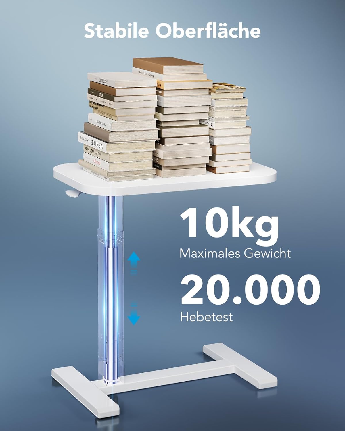 DeskTherapy Mobile nosnost 10 kg
