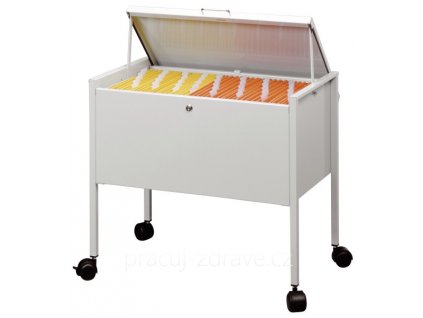 Pojízdná kartotéka DURABLE ECONOMY TROLLEY 80 MULTI šedá  Mobilní uzamykatelná kartotéka pro všechny Vaše dokumenty.