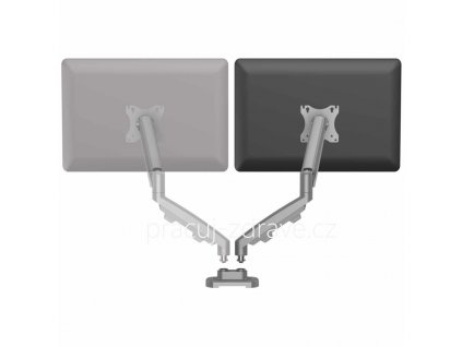 Držák  pro 2 monitory Eppa™ - stříbrný