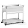 Pojízdná kartotéka DURABLE TROLLEY 90 A4 šedá  Mobilní kartotéka pro všechny Vaše dokumenty.