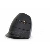 Evoluent C - černo-modrá vertikální bezdrátová myš  luxusní ergonomický design - TOP produkt