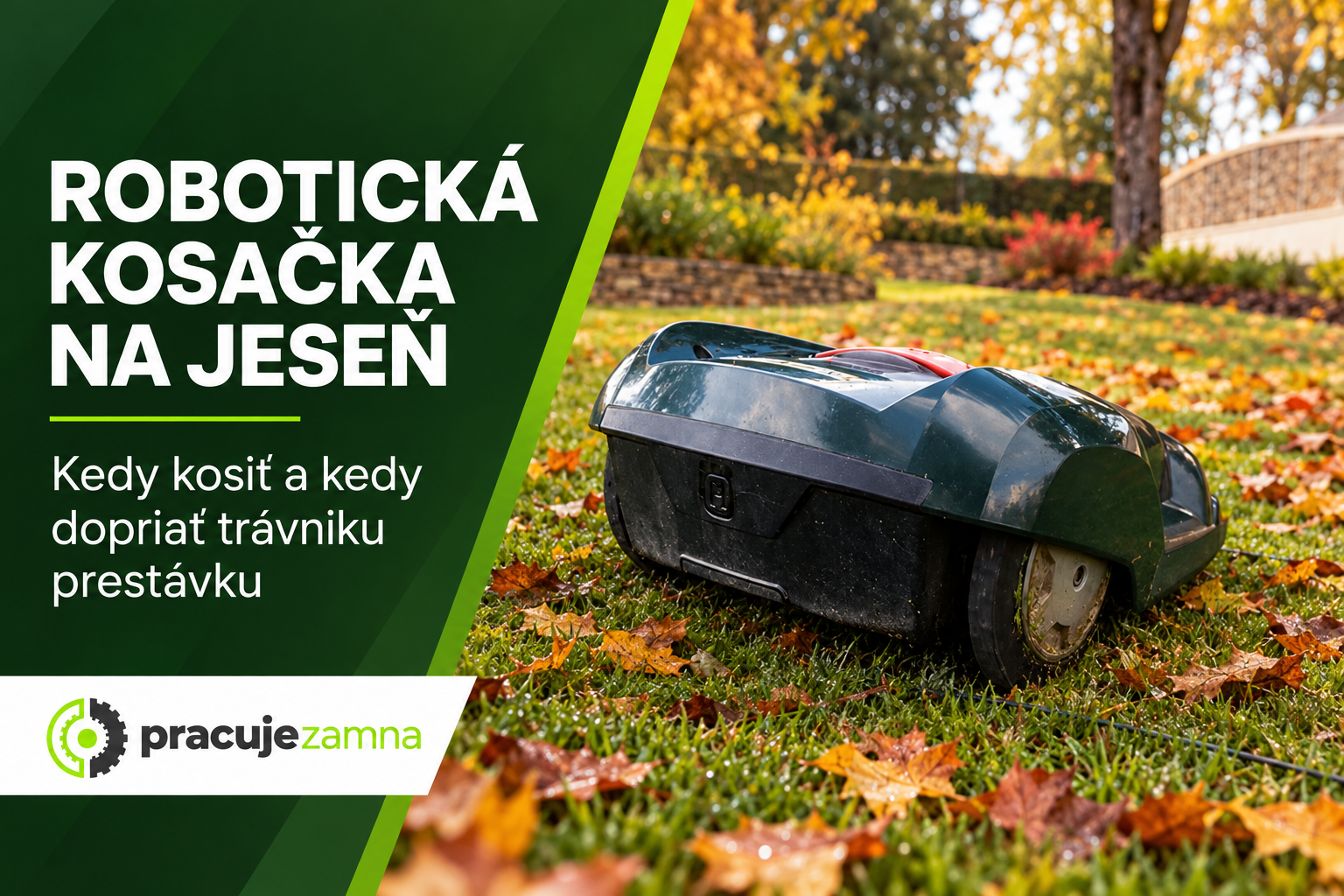 Robotická kosačka na jeseň – kedy kosiť a kedy dopriať trávniku prestávku