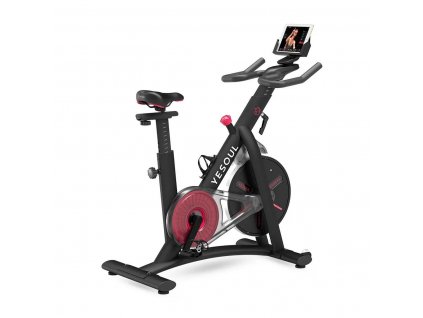 Xiaomi Yesoul S3 Quiet Smart Indoor Portable Rotoped Spinning Bike Black EU