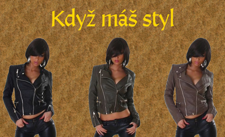 Dámská stylová bunda