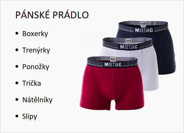 Pánské spodní prádlo