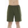 Pánské krátké pyžamové kalhoty Leptir 500/16 zelené