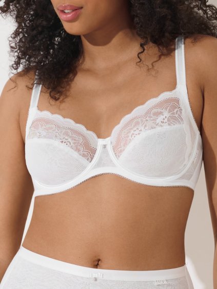 Návrh bez názvu (19)