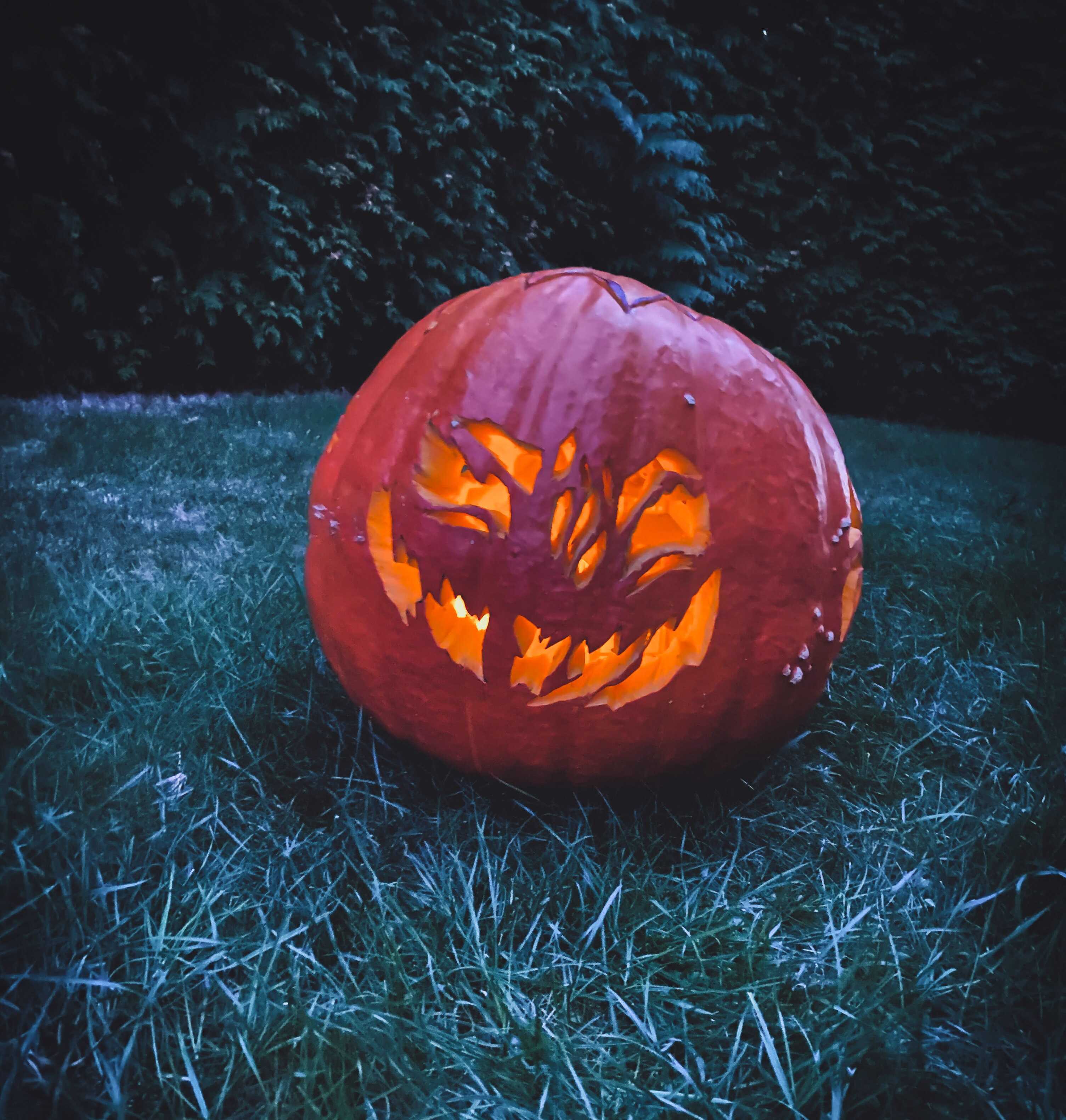 Halloween a dýně ?