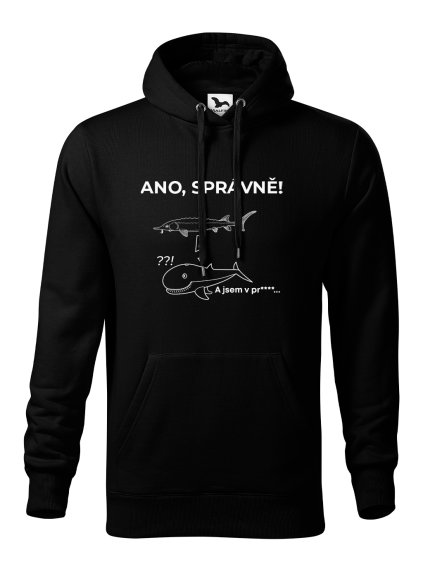 07 ANO SPRAVNE RYBY B