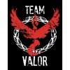 Mikina Pokemon Team Valor