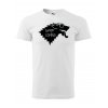 Tričko Game of Thrones - Summer is coming 2