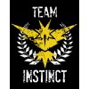 Unisex mikina Pokemon Team Instinct