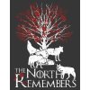 Tričko Game of Thrones - North remembers