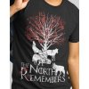Tričko Game of Thrones - North remembers