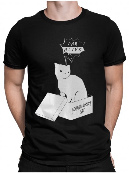 mockup schrodingers cat světlo min