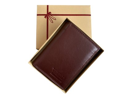 Pánská kožená peněženka Wild Fashion4u brown