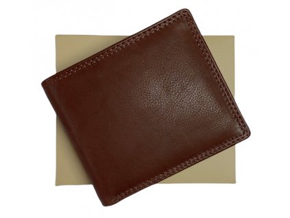 Pánská kožená peněženka Wild Fashion brown