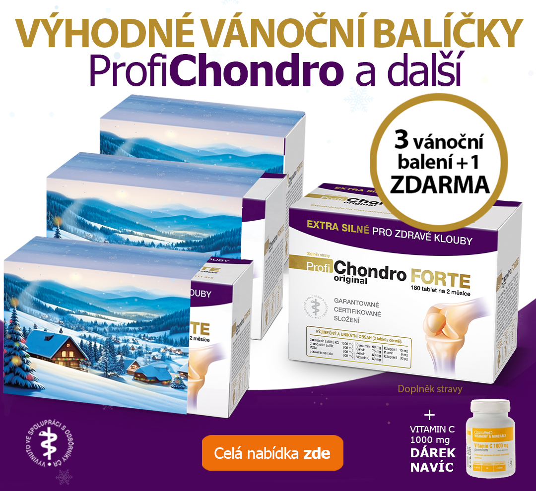 Vanoce_3+1_C_mobil